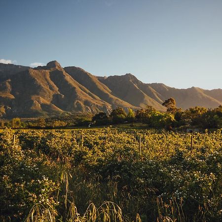 Wildebraam Berry Estate Villa Swellendam Eksteriør bilde