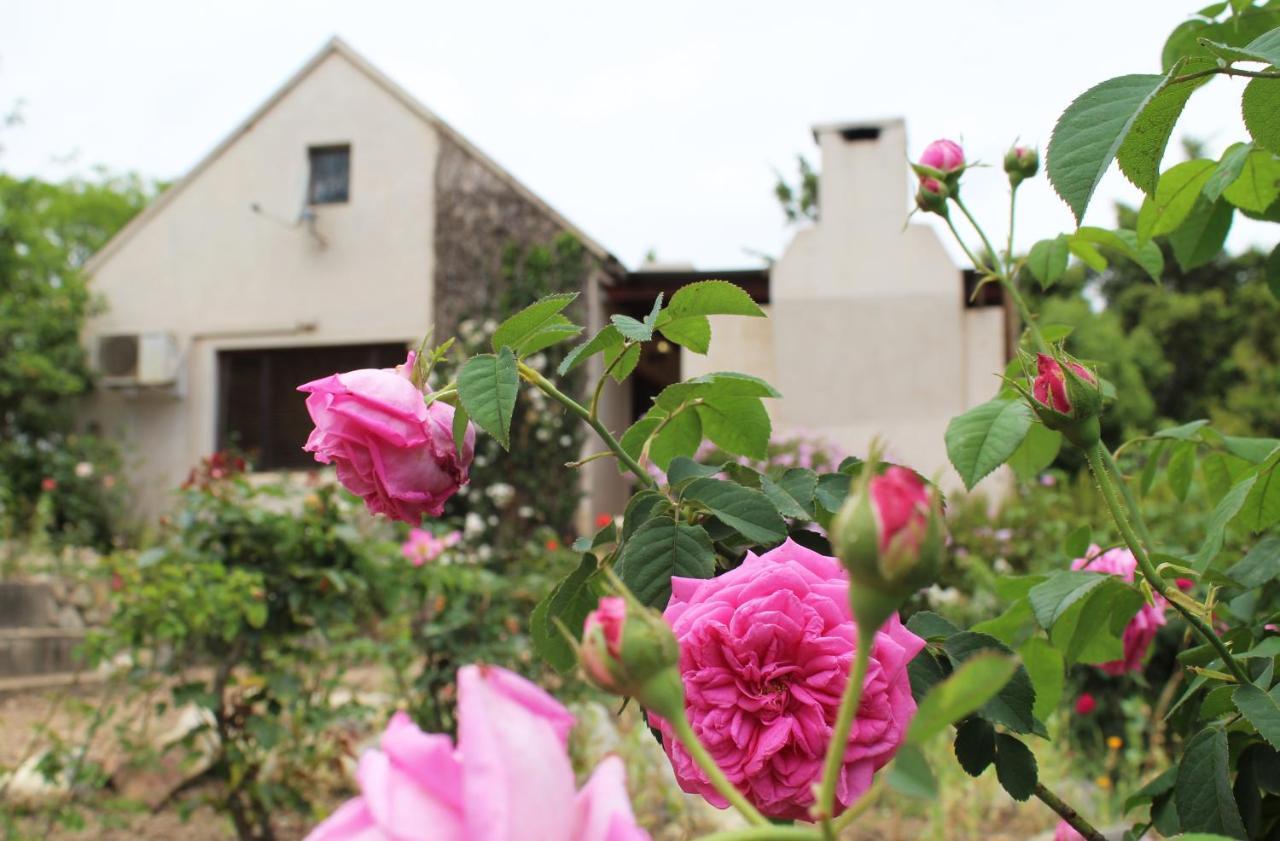 Wildebraam Berry Estate Villa Swellendam Eksteriør bilde