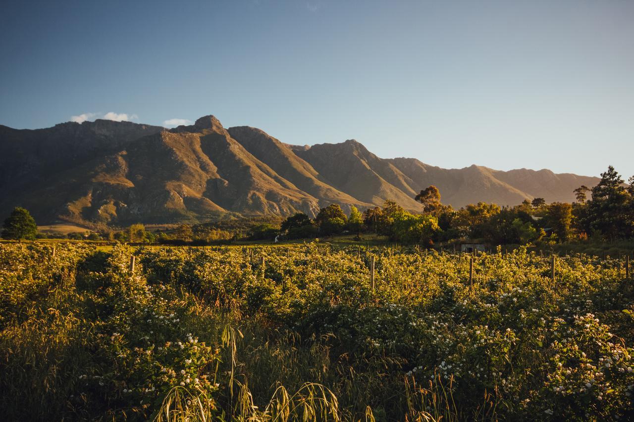 Wildebraam Berry Estate Villa Swellendam Eksteriør bilde
